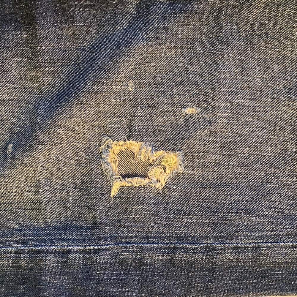 Ed Hardy Blue Jeans with Skull and Rose Embroidery - Picture 10 of 12